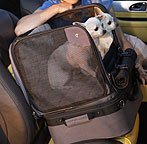 Pet Cruiser Auto Cruiser Portable Pet Car Seat